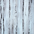 Pier Planks