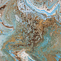 Tide Pools